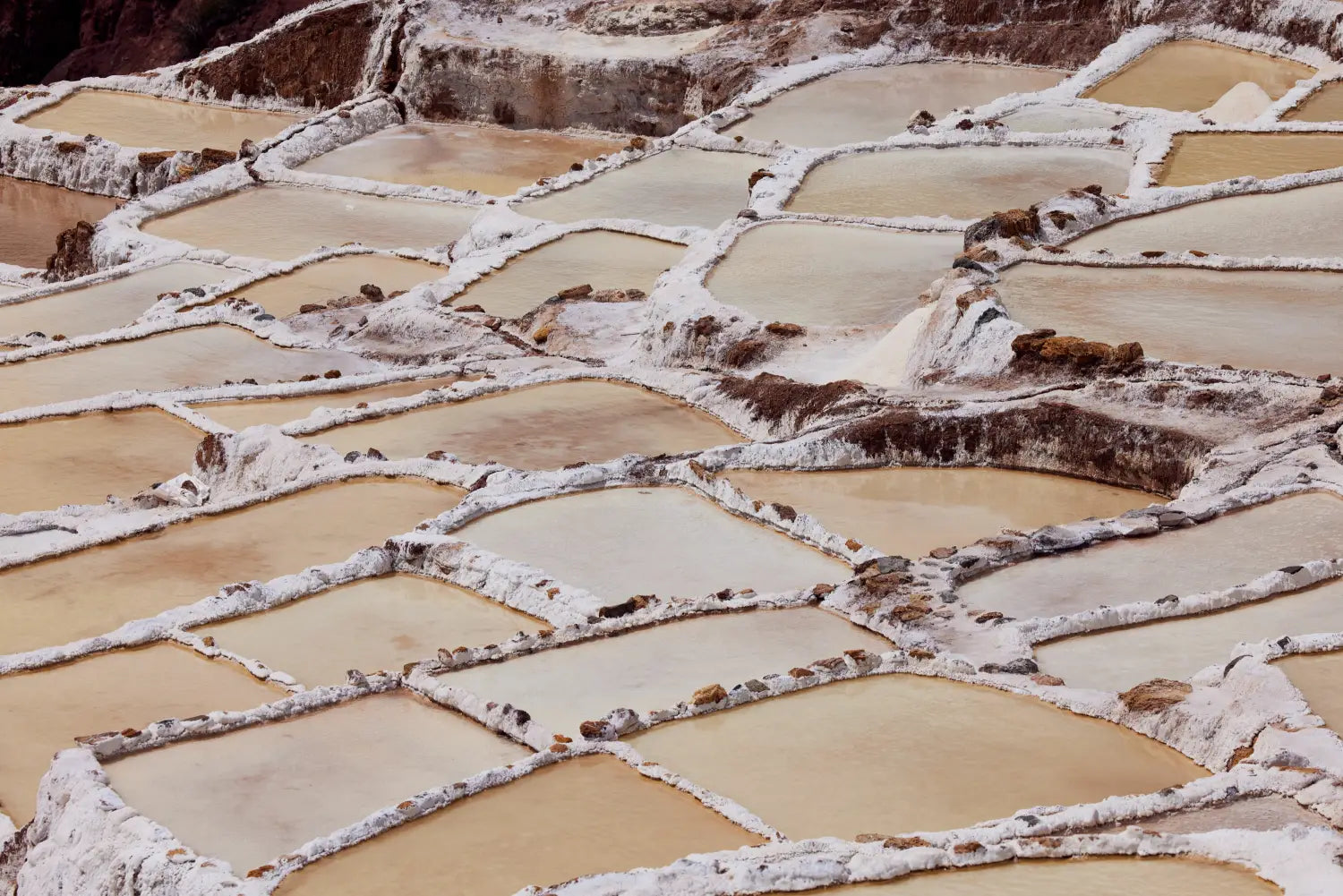 the sacred valley of the incas
