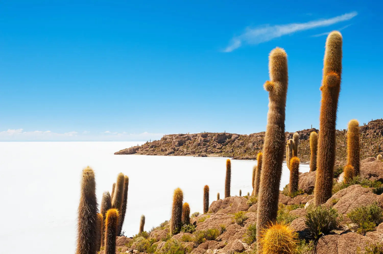 the salt flats of uyuni